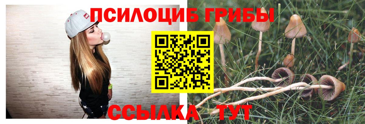 Галлюциногенные грибы мухоморы  Вход с VPN  наркотики  Видное 